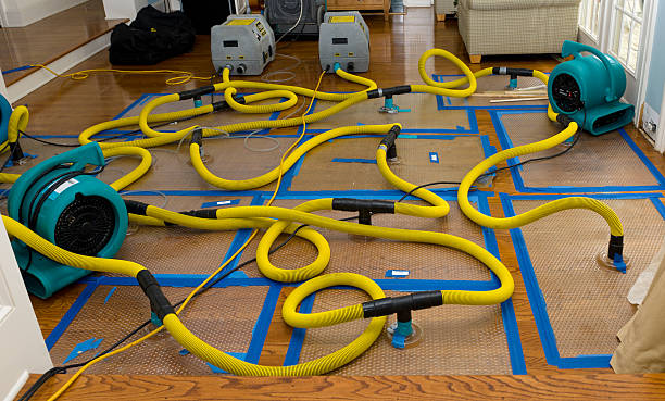Professional Crawl Space Water Removal technician working in Belden, MS